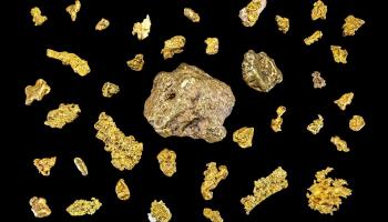 One of the largest gold nuggets ever found is auctioned in Texas, United States in 2021 (HA.com/Bournemouth News/Shutterstock)