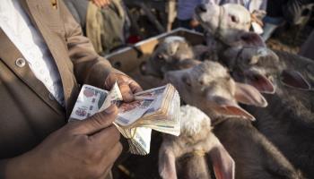 Men counting money at a livestock market (Mahmoud Elkhwas/NurPhoto/Shutterstock)