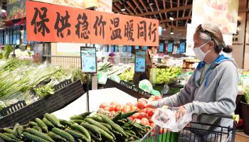 A woman shops for vegetables in Beijing (Xinhua/Shutterstock)