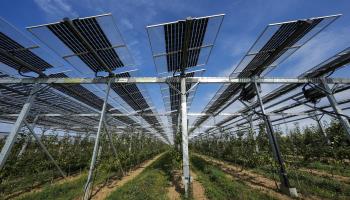 Solar panels at a farm in Germany (Martin Meissner/AP/Shutterstock)