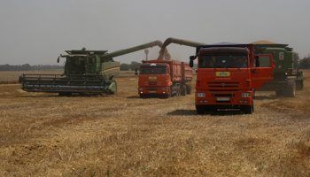 Harvesting grain in Krasnodar region, July (Vitaly Timkiv/AP/Shutterstock)