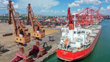 A cargo ship prepares to unload Brazilian soybeans in China's Yangpu port (Xinhua/Shutterstock)
