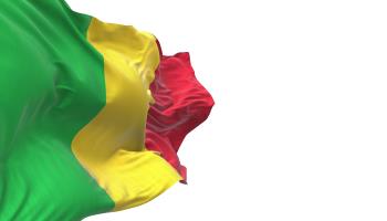 Mali's flag (Shutterstock)
