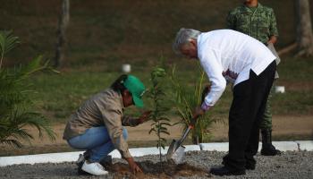 AMLO helps to plant a tree as part of his government's Sembrando Vida reforestation programme. Minatitlan, Mexico, July 2019 (Felix Marquez/AP/Shutterstock)