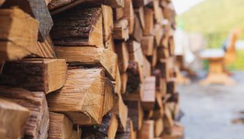 Stacks of logs prepared for the winter (Klimamarina/Shutterstock)