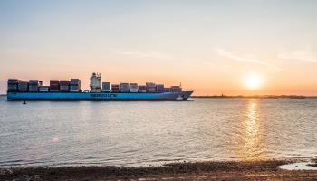 Container ship approaching Felixstowe at sunset (Philip Silverman/Shutterstock)
