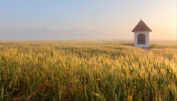 A wheat field with a chapel in the Tatra Mountains of Slovakia (TTstudio/Shutterstock)