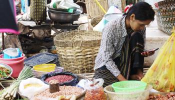 A vegetable vendor using her smartphone in Yangon, Myanmar (Shutterstock/MICKIE.K)