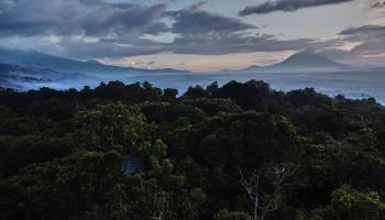 An aerial view of the Virunga National Park, November 2020 (Hugh Kinsella Cunningham/EPA-EFE/Shutterstock)