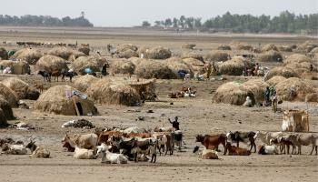 A cattle herd next to a small community in Mali (Nic Bothma/EPA/Shutterstock)