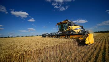 A combine harvester in a Russian-controlled part of Ukraine's Zaporizhia region, July 2022 (AP/Shutterstock)