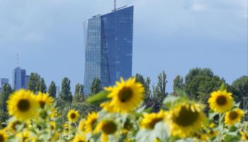 ECB Headquarters (Ronald Wittek/EPA-EFE/Shutterstock)