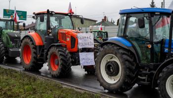 Polish farmers on protest in Chelm, near the border with Ukraine (Shutterstock)