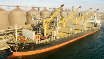 Loading grain into the hold of a sea-going freighter from grain  silos, Odessa, August 9, 2021 (Elena Larina/Shutterstock)