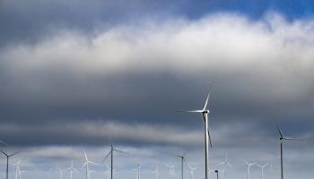Offshore wind farm in the Netherlands (Robin Utrecht/Shutterstock)