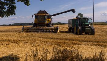 Wheat harvest in Poland (Shutterstock/LechWy)