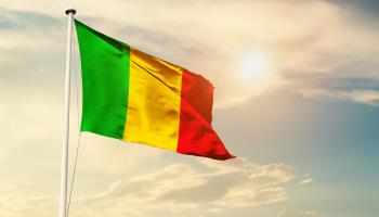 The Malian flag (Shutterstock)