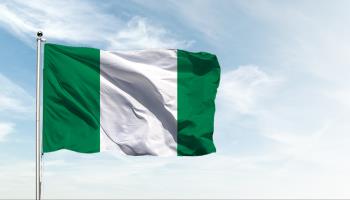 The Nigerian Flag (Shutterstock)