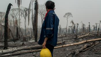 A firefighter looks at a burnt area of the Bolivian Amazon (Shutterstock)
