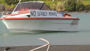 A protest against seabed mining in New Zealand (Shutterstock/Photos BrianScantlebury)