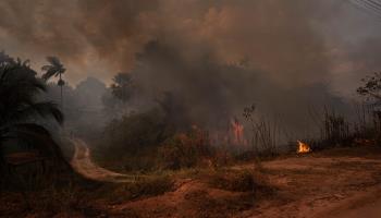 Forest fires and smoke near Manaus, Amazonas state (Gustavo Basso/NurPhoto/Shutterstock)