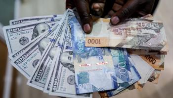A worker displays dollars and shillings at a Kenyan forex bureau (Daniel Irungu/EPA-EFE/Shutterstock)