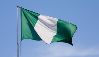 The Nigerian flag (Shutterstock)