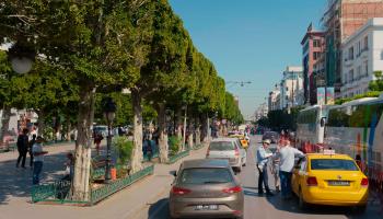 Tunis city (Shutterstock)
