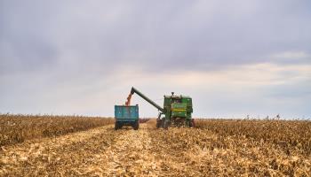 A harvester works at a field in the Russian Far East (Xinhua/Shutterstock)