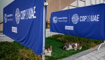 COP28 climate summit (Dominika Zarzycka/NurPhoto/Shutterstock)