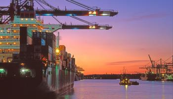 Container port, Hamburg (Dieter Mahlke/imageBROKER/Shutterstock)