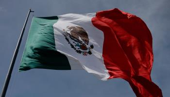The flag of Mexico (Gerardo Vieyra/NurPhoto/Shutterstock)