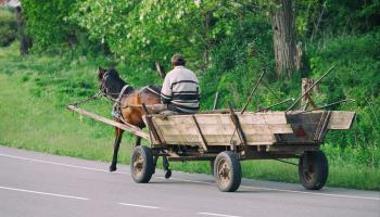 Romania’s slow pace of development in the countryside has its upside in self-sufficiency for poorer landowners (Pavlo Lys/Shutterstock)

