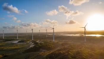 Wind farm in Northeast Brazil (Shutterstock)