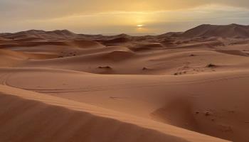 Algerian desert/Shutterstock (Shutterstock)