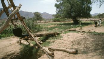 Irrigation well in Niger’s Tahoua Region (Environmental Images/Universal Images Group/Shutterstock)