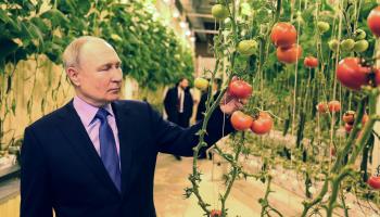 President Vladimir Putin inspects tomatoes in Chukotka, Russia (Gavriil Grigorov/Sputnik/Kremlin/Pool/EPA-EFE/Shutterstock)