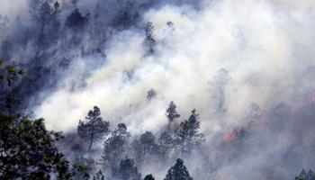 A forest fire in Honduras (Gustavo Amador/EPA/Shutterstock)