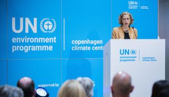 The Director General of the UN Environmental Programme speaks in Denmark on April 2022 (Shutterstock)