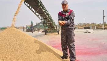 A worker shows rice seeds selected by a screening machine in Ussuriysk, Russia. (Xinhua/Shutterstock)