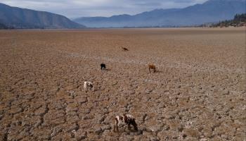 The dry bed of the Aculeo lagoon (Matias Basualdo/ZUMA Press Wire/Shutterstock)