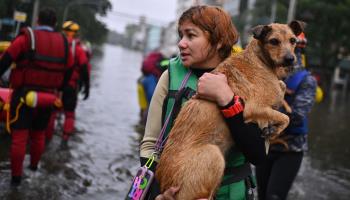 A woman holds a dog rescued in a flooded area in the municipality of Canoas, Rio Grande do Sul, Brazil. May 2024 (Andre Borges/EPA-EFE/Shutterstock)