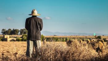 Farmer in Morocco (Shutterstock)