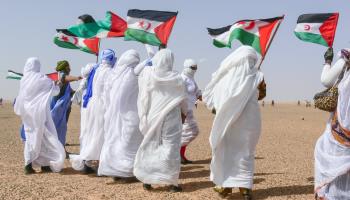 Demonstration for Western Saharan independence, 2008 (Natalia de la Rubia/Shutterstock)
