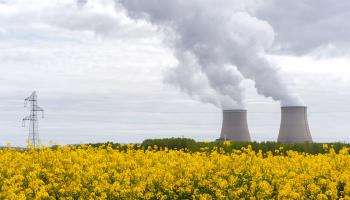 A view of the nuclear power plant at Nogent-sur-Seine, France (Januario Helder/ABACA/Shutterstock)