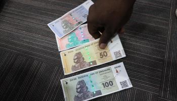 New Zimbabwean ZiG banknotes (Xinhua/Shutterstock)