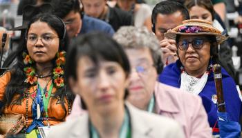 Delegates attend the last plenary session of the COP16 summit on November 1 (Joaquin Sarmiento/AFP via Getty Images)