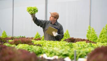 Agricultural researcher (Wera Rodsawang/Getty Images)