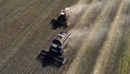 Combine harvesters in a wheat field in Novosibirsk, Siberia (Vladimir Nikolayev/AFP/Getty Images)