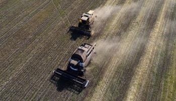 Combine harvesters in a wheat field in Novosibirsk, Siberia (Vladimir Nikolayev/AFP/Getty Images)